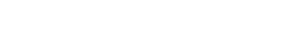 NEW-VIZION